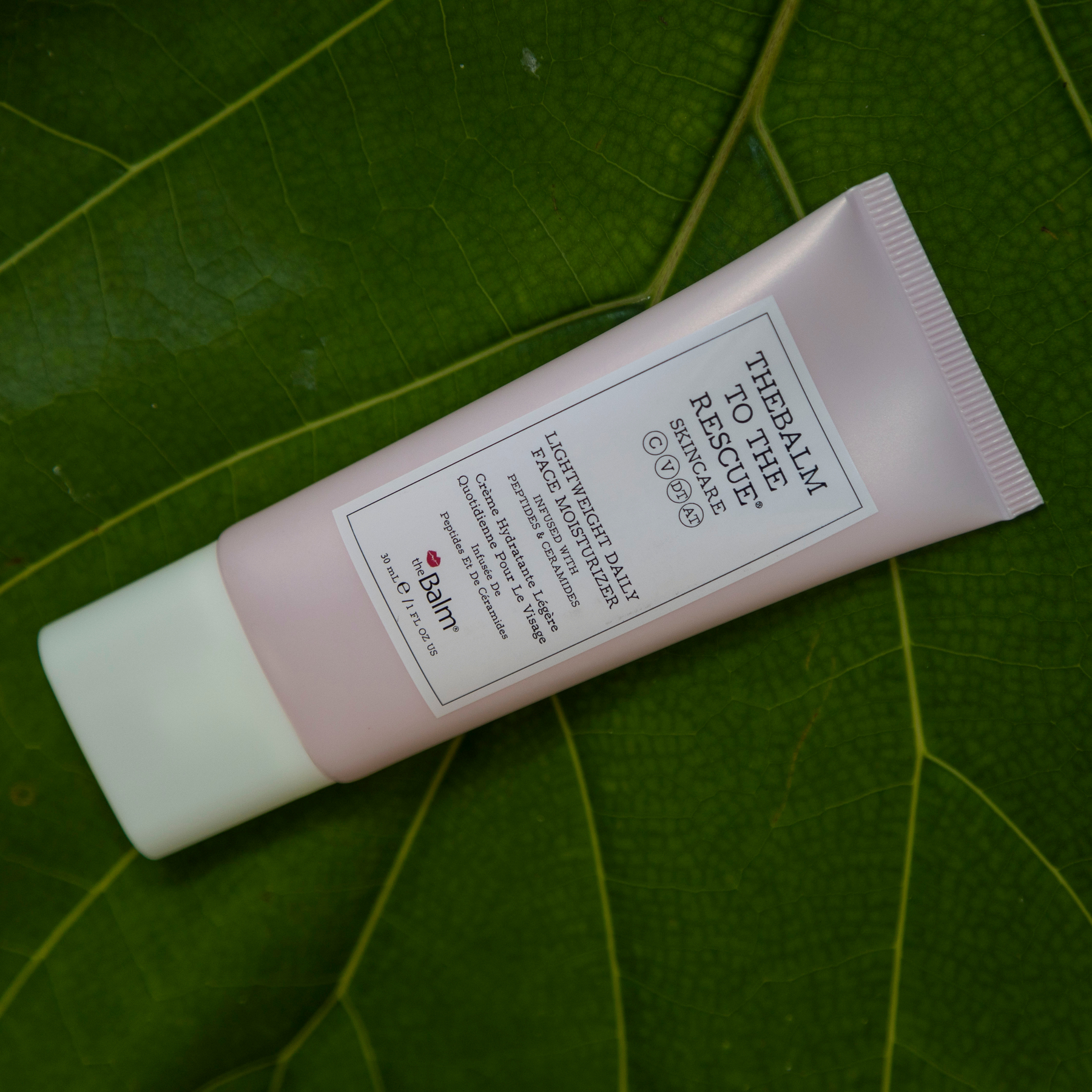 Lightweight Daily Face Moisturizer